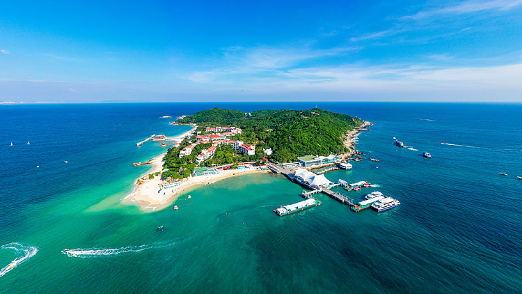 Live: Underwater views of the Marine Ranch in Wuzhizhou Island