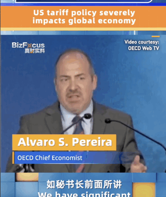 OECD Economist Warns: US Tariffs Impacting the Global Economy ๐ OECD economist: US tariff policy severely impacts global economy video poster