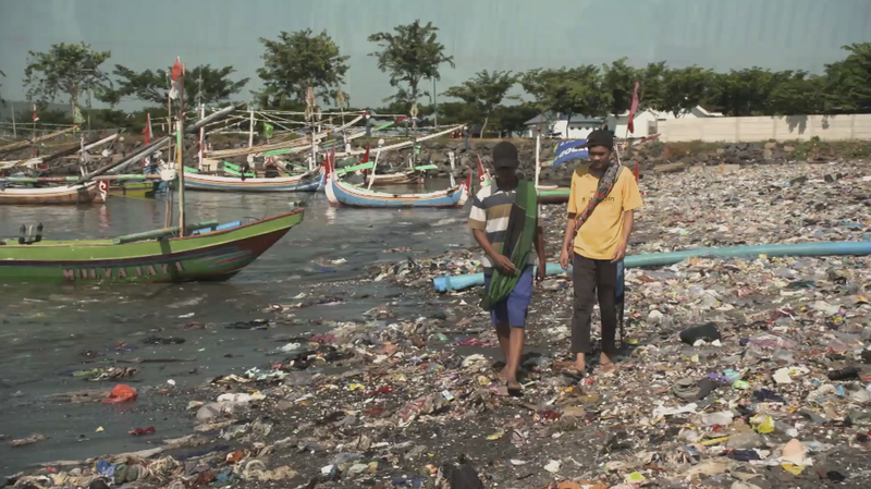 Our plastic world: The hidden dangers of plastic pollution video poster