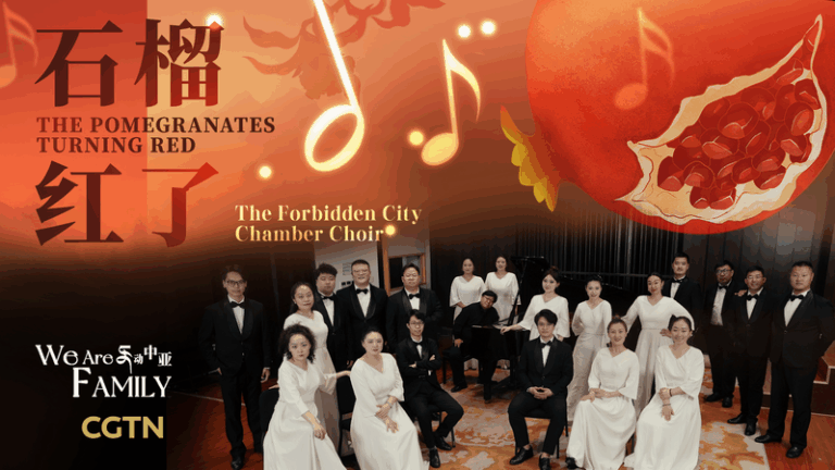 Pomegranate vibes: a musical Silk Road adventure! video poster