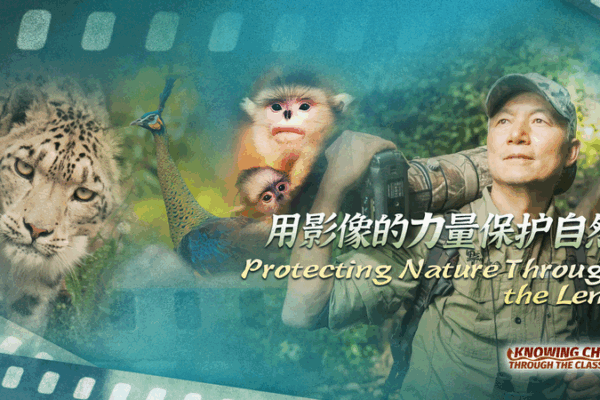 Capturing Nature’s Wonders: Photographer Xi Zhinong’s Wildlife Journey Protecting Nature Through the Lens video poster