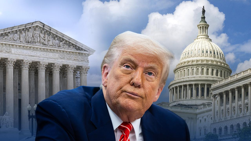 Q&A: Can Congress and courts still check Trump's executive overreach?