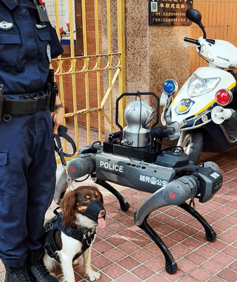 When Bibi the Police Dog Met a Robotic Pup! Real vs. robotic: An encounter between two police dogs video poster