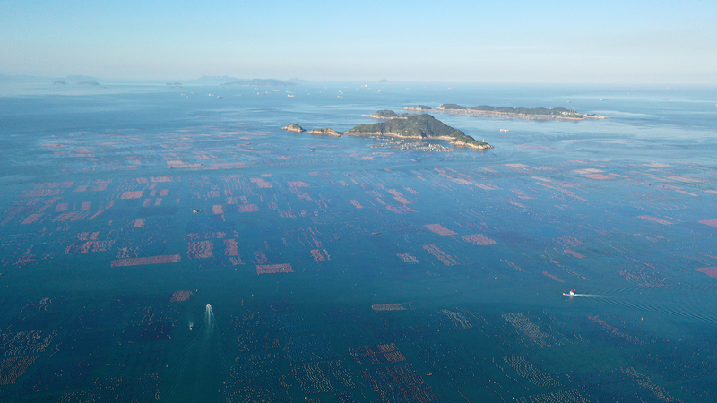 Report_highlights_Chinas_ocean_vision_global_cooperation - My Global News: Young Voices Report highlights China's ocean vision, global cooperation