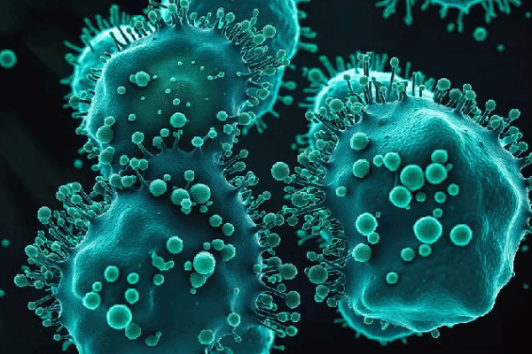 New Hope: Aussie Scientists Test Drug to Fight Untreatable Cancers Researchers launch pioneering trial targeting untreatable cancers