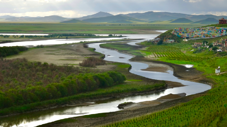 Ruoergais_wetland_wonder_on_Yellow_Rivers_first_great_curve - My Global News: Young Voices Ruoergai's wetland wonder on Yellow River's first great curve