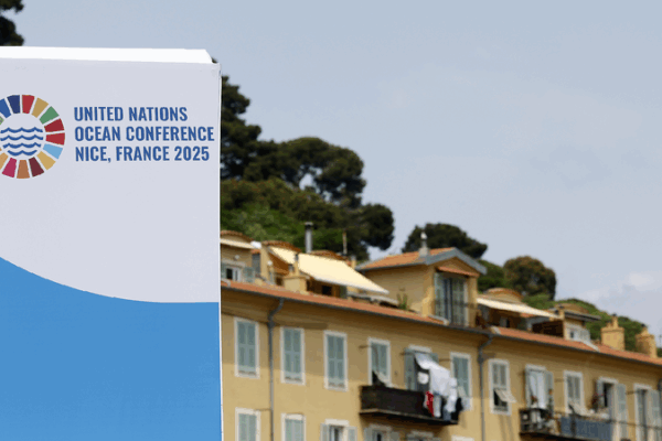 Scientists Urge Us to Help Save the Ocean! ๐ Scientists call for urgent ocean action at Nice congress