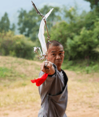 The Magic of Shaolin’s Nine-Section Whip: Soft and Strong! Shaolin's nine-section whip: Where softness and hardness meet video poster