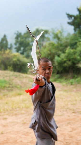 Shaolin's nine-section whip: Where softness and hardness meet video poster