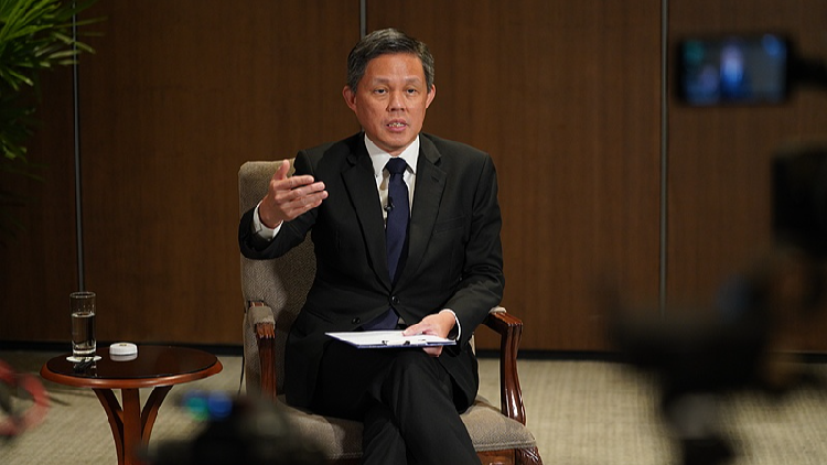 Singaporean minister: Resolving Taiwan question up to Chinese people