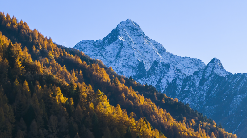 Study_finds_grassland_carbon_sink_mechanism_in_Qinghai-Tibet_Plateau - My Global News: Young Voices Study finds grassland carbon sink mechanism in Qinghai-Tibet Plateau