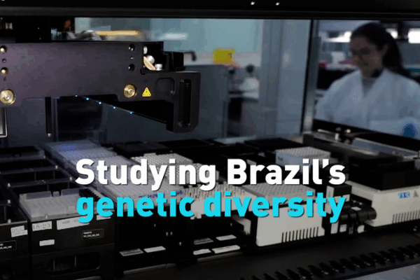 Brazil’s Incredible Genetic Diversity Revealed by New Research Studying Brazil’s genetic diversity video poster