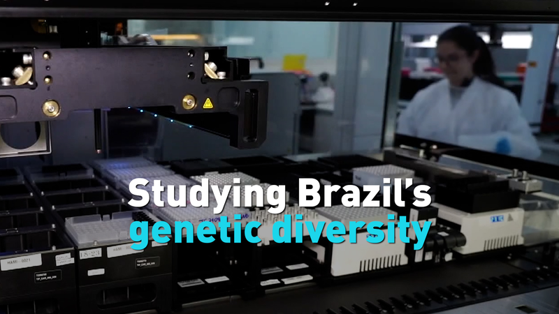 Studying Brazil’s genetic diversity video poster