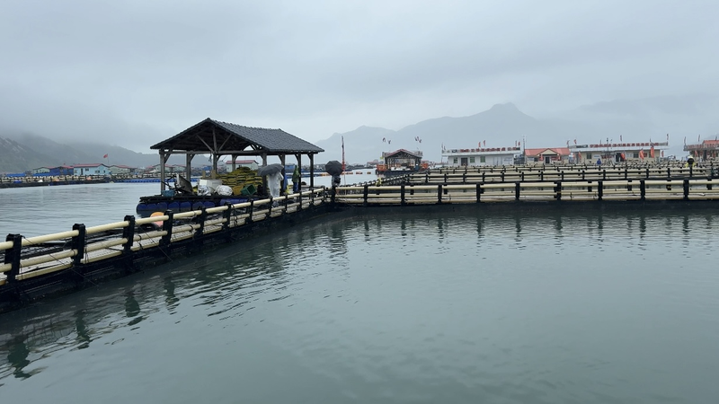 Sustainable_shift_in_Sanduao_Honoring_World_Ocean_Day_poster - My Global News: Young Voices Sustainable shift in Sandu'ao: Honoring World Ocean Day video poster