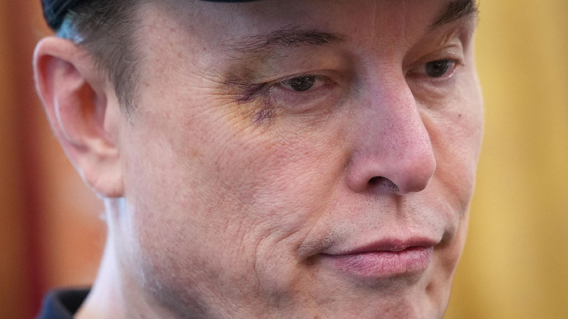 Tesla executives questioned Musk over $25K EV denial, sources say