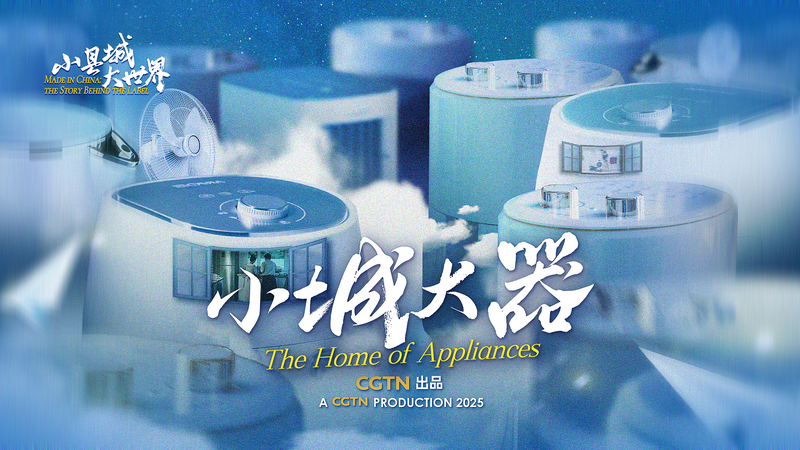 The Home of Appliances video poster