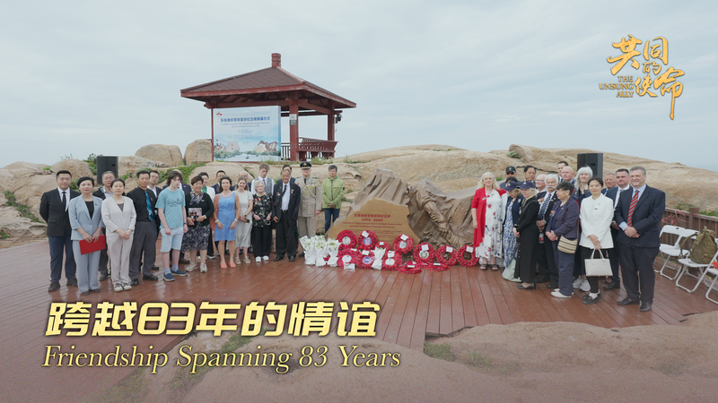 The Unsung Ally｜Friendship Spanning 83 Years video poster