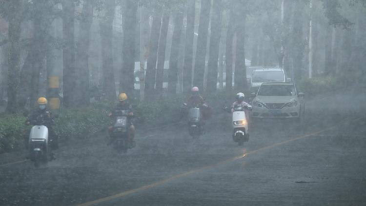 Typhoon Wutip makes landfall in south China's Hainan