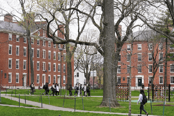 Judge Says Yes! Foreign Students Can Stay at Harvard π U.S. federal judge allows Harvard to host foreign students