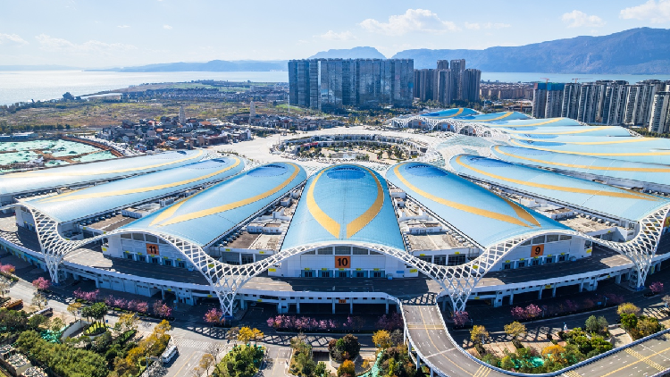 Upcoming China-South Asia Expo set to boost regional cooperation