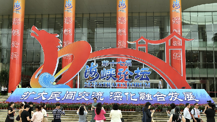 Wang Huning calls for unity, cooperation, peace across Taiwan Straits