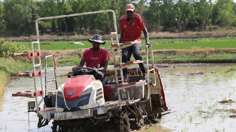 Wang Yi calls for more success stories in China-Africa cooperation