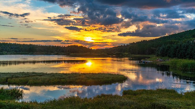 Where deserts once stood: China's transformed lands