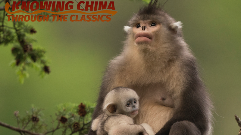 World Environment Day | Safeguarding our shared home