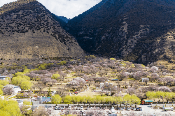 Xi Jinping Encourages Xizang Village to Build a Brighter Future ๐ Xi Jinping urges villagers in Xizang to uphold ethnic solidarity