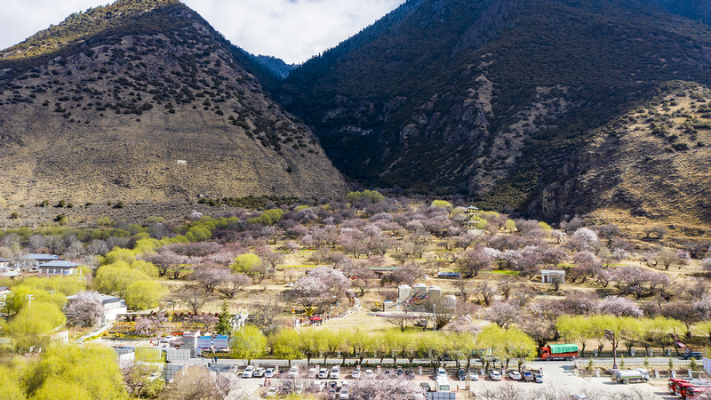 Xi Jinping urges villagers in Xizang to uphold ethnic solidarity