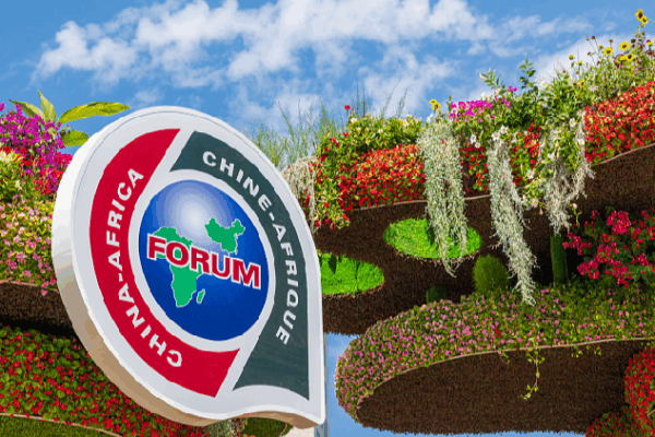 Xi, Sassou congratulate FOCAC ministerial meeting of coordinators