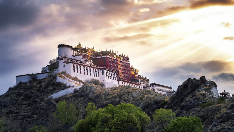 Xizang: Her story, her power video poster