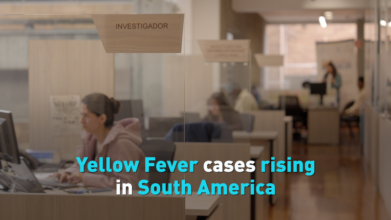 Yellow Fever cases rising in South America video poster