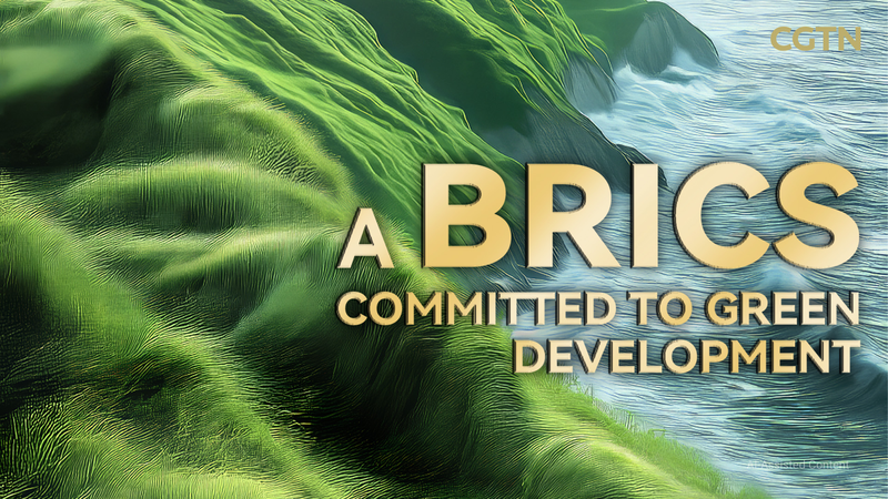 AIGC Poster: China calls for a BRICS committed to green development video poster