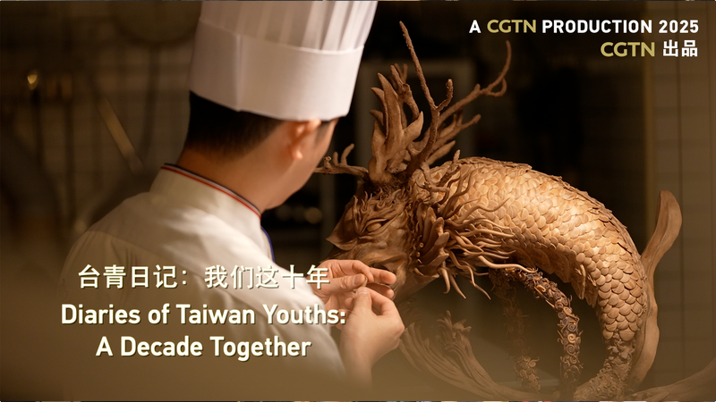 A Decade Together | Diaries of Taiwan Youth video poster