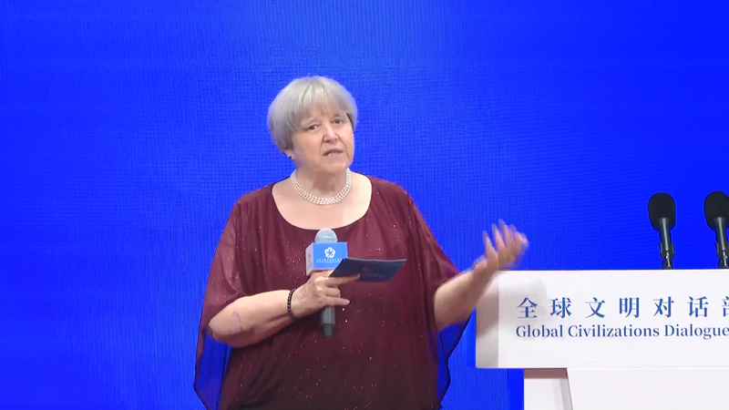 American Scholar Shares Heartwarming Stories from Kuliang at Beijing Event American scholar tells stories about Kuliang video poster