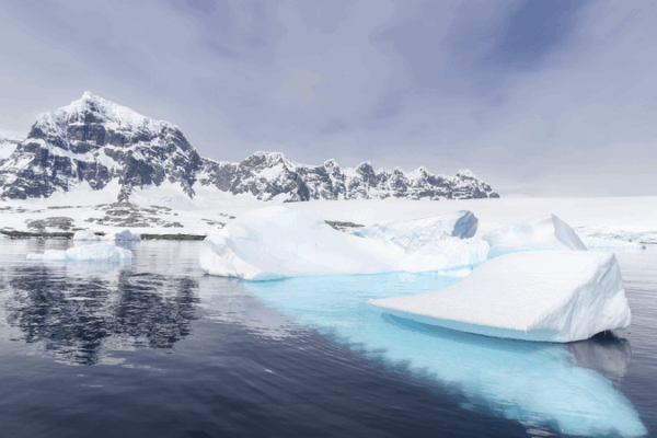 Antarctica’s Melting Sea Ice: Why It Matters to Penguins and Us! ❄️🐧 Antarctica's shrinking sea ice threatens wildlife, climate stability