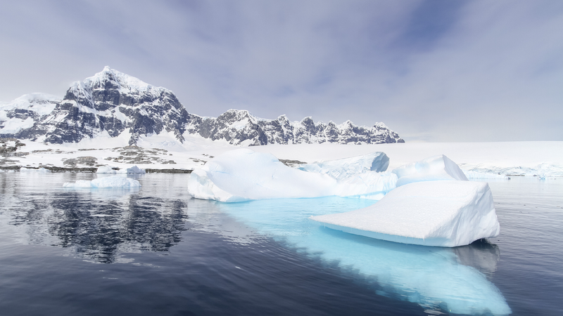 Antarcticas_shrinking_sea_ice_threatens_wildlife_climate_stability - My Global News: Young Voices Antarctica's shrinking sea ice threatens wildlife, climate stability
