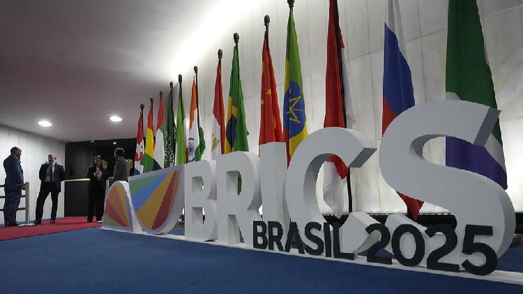 BRICS helps stabilize global economy amid rising protectionism