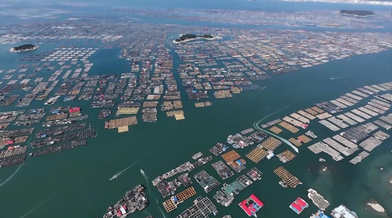 China launches emergency response to Typhoon Danas