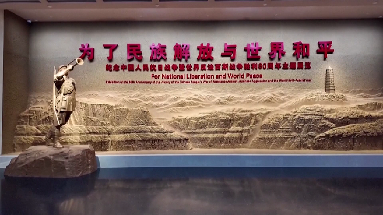 China marks 88 yrs since resistance against Japanese aggression began