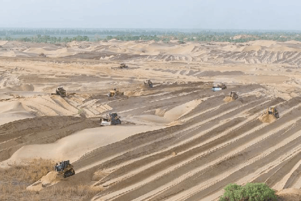 China’s Big Fight Against Sandstorms: Planting Trees and Saving Land ๐ณ China marks sandstorm day with innovation, progress