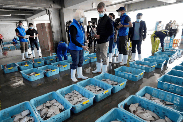 China Resumes Importing Seafood from Parts of Japan After Safety Checks China to conditionally resume aquatic product imports from Japan