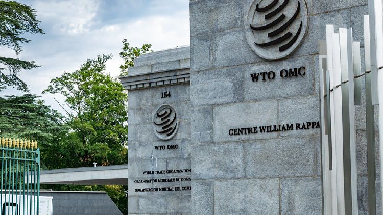 China_to_evaluate_WTO_ruling_on_patent_disputes_with_EU - My Global News: Young Voices China to evaluate WTO ruling on patent disputes with EU