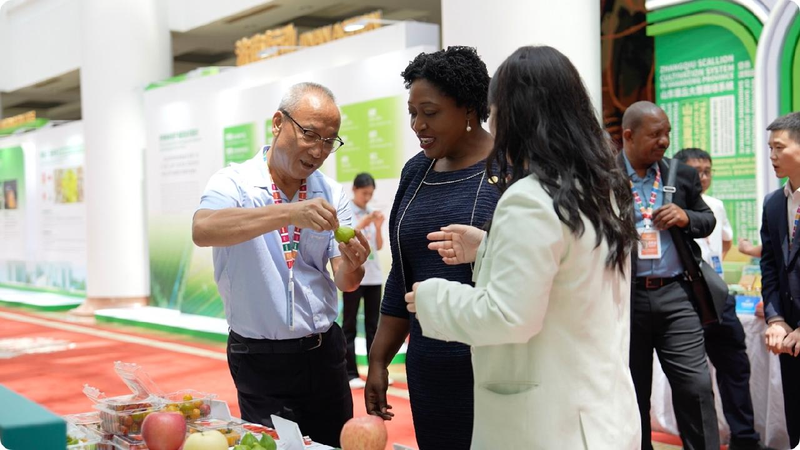 Smart Farming Shines in China’s ‘Spring City’ π±π€ China's 'Spring City' meets smart farming