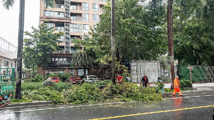 Chinas_coastal_regions_brace_for_Typhoon_Wipha - My Global News: Young Voices China's coastal regions brace for Typhoon Wipha