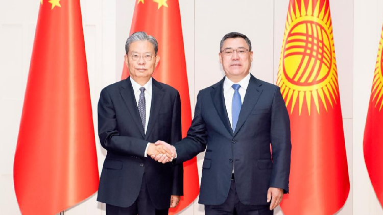 China and Kyrgyzstan: Building Friendship and Cool New Projects! ππ€ China's top legislator eyes more practical cooperation with Kyrgyzstan