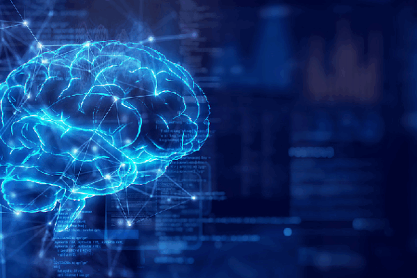 Chinese Scientists Unlock New Secrets in Brain Mapping! 🧠🔬 Chinese-led team unveils breakthrough in brain mapping research