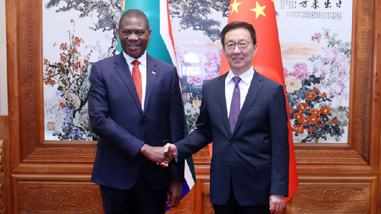 Chinese_vice_president_meets_South_Africas_deputy_president - My Global News: Young Voices Chinese vice president meets South Africa's deputy president