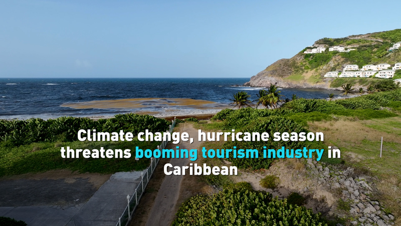 Caribbean’s Paradise Faces Double Trouble: Hurricanes and Seaweed 🌊🌴 Climate change, hurricanes threatens tourism industry in Caribbean video poster